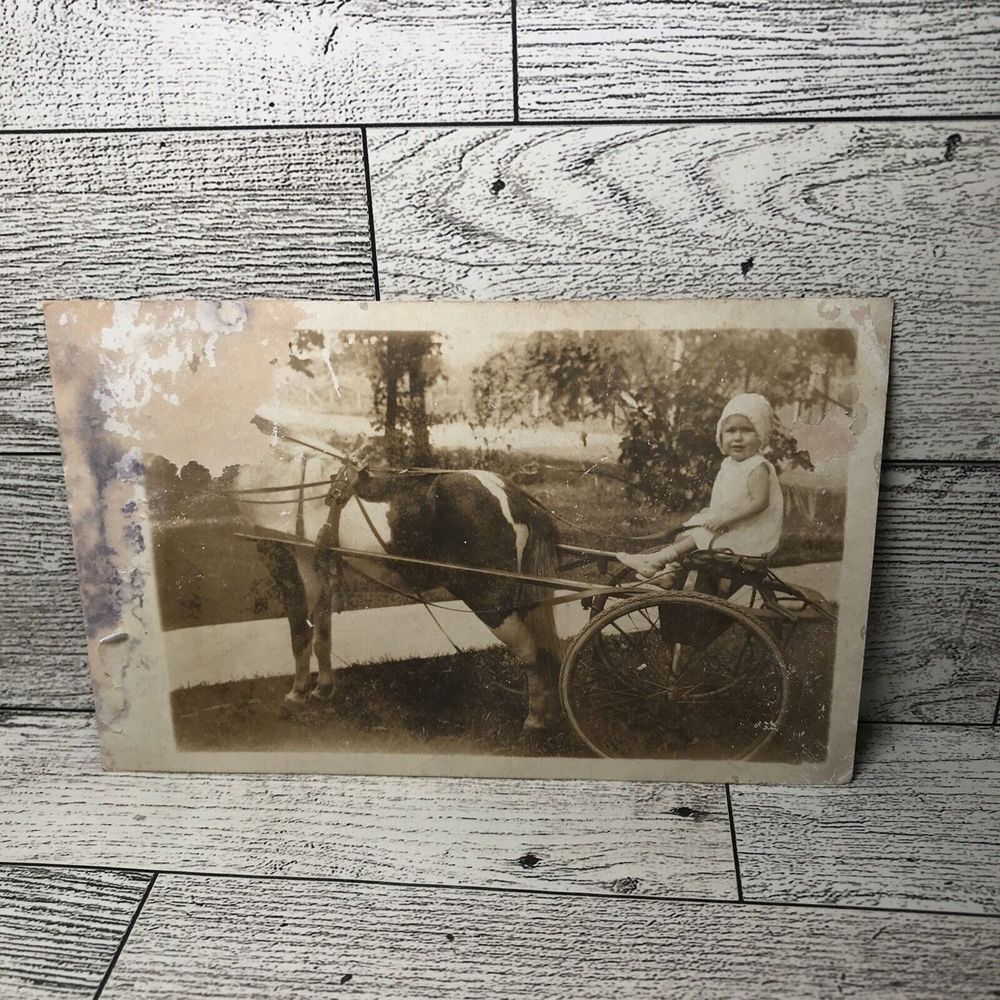 Vintage Photo Post‎ Card Horse Baby Child Buggy Ephemera Memorabilia Souvenir